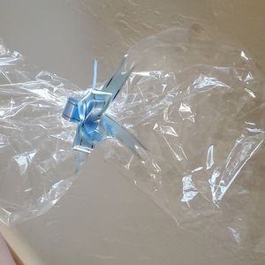 Clear Gift/Storage Bag with Blue Ribbon nwot